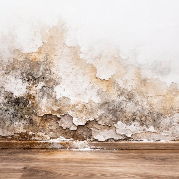 Diagnostic et solution contre l’humidité dans une maison à Rennes réalisés par Galais Isolation