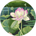 Mireille profile picture