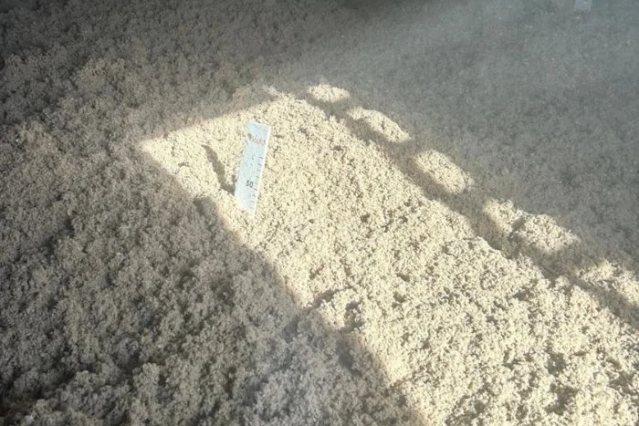 Pige de mesure pour contrôler l'épaisseur de ouate de cellulose dans les combles à Cesson-Sévigné (35)