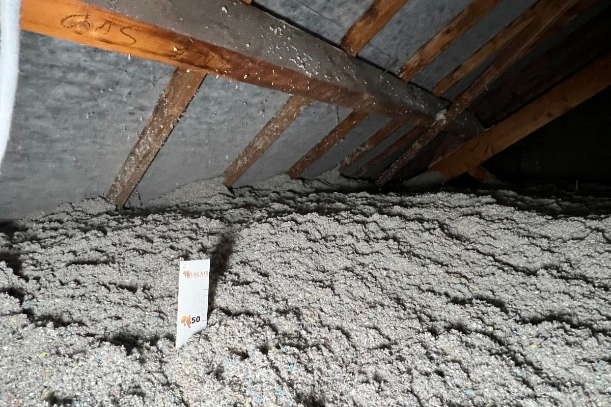 Pige de mesure plantée dans la ouate de cellulose soufflée à Bruz (35)