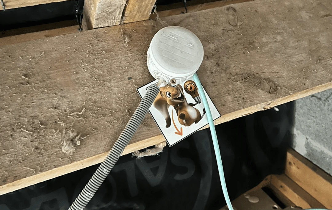Boîtier électrique repéré et protégé dans les combles à Brécé (35)