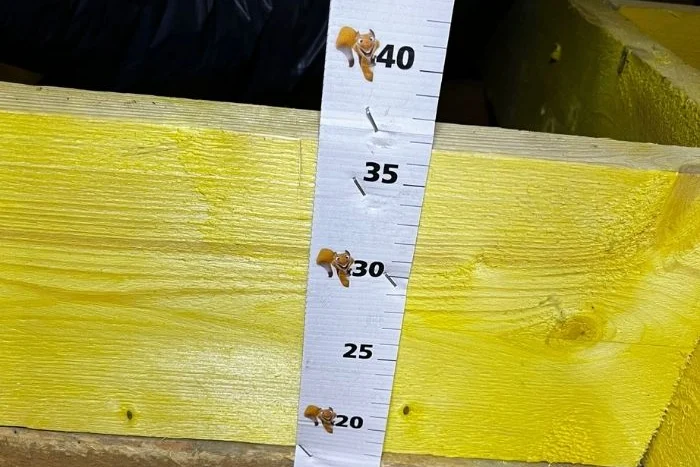 Repère de mesure fixé sur une solive pour contrôler l'épaisseur d'isolant à Cesson-Sévigné (35)